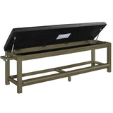 SPECTATOR STORAGE BENCH