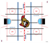 OTTAWA SENATORS SUPER CHEXX NHL DOME HOCKEY