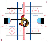 OTTAWA SENATORS SUPER CHEXX NHL DOME HOCKEY